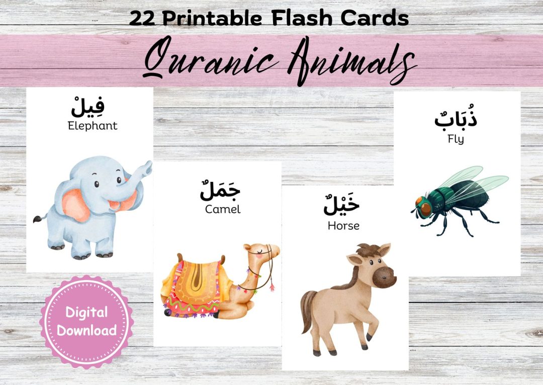 Quranic Animals - Flashcards