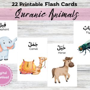 Quranic Animals - Flashcards